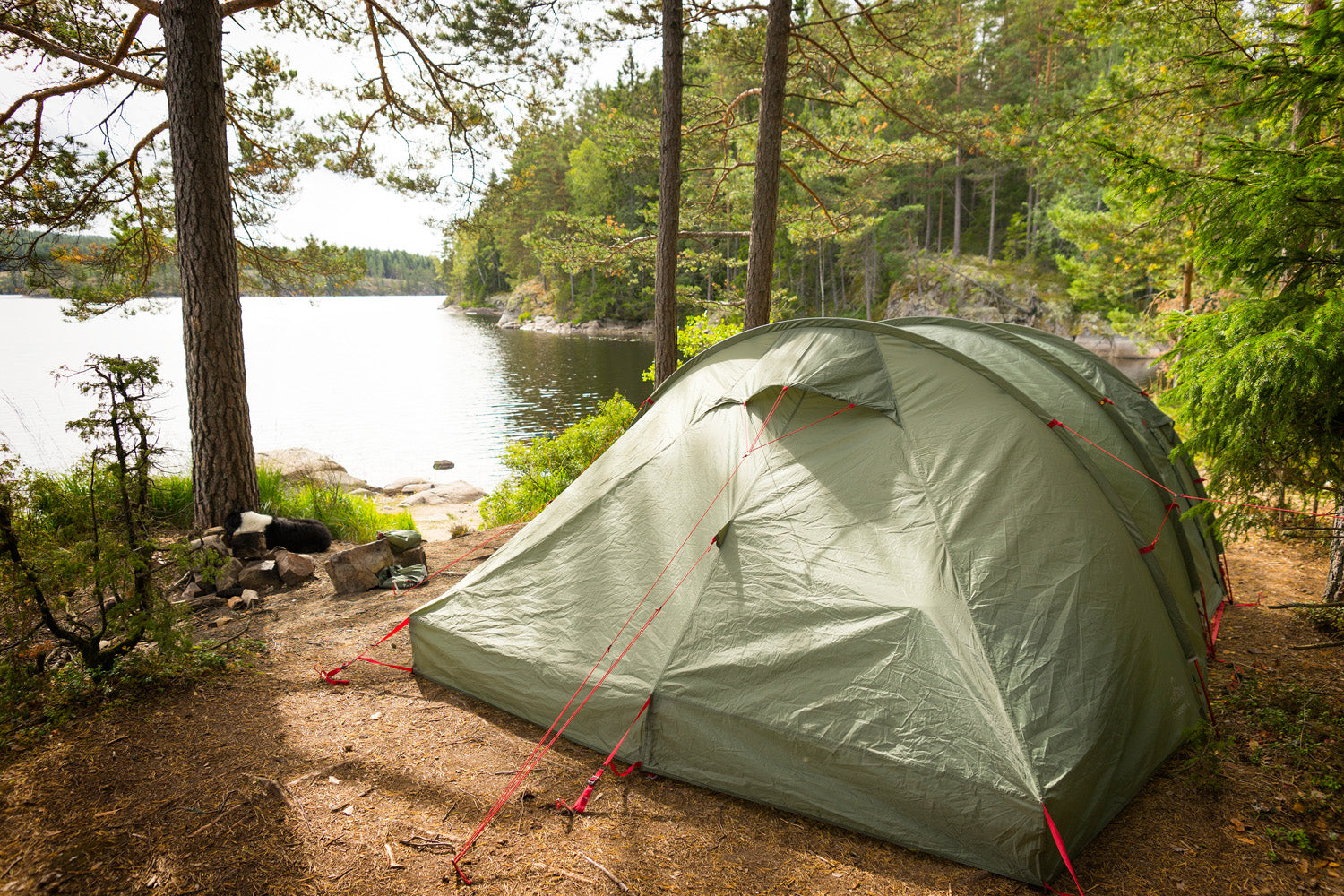 Back To Basic - Het Verlangen Naar Een Offline Leven