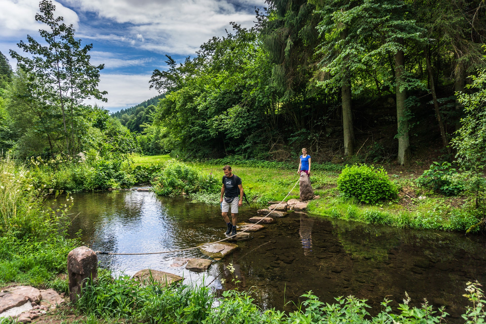 Prachtige Wandelroutes In Het Noordelijke Zwarte Woud