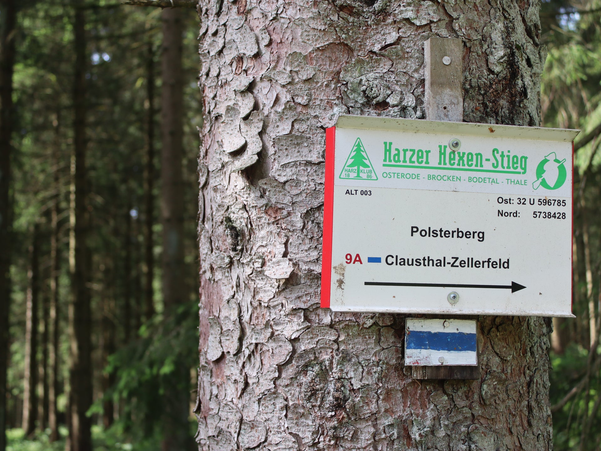 Top Wandeltrail - De Harzer Hexen Stieg