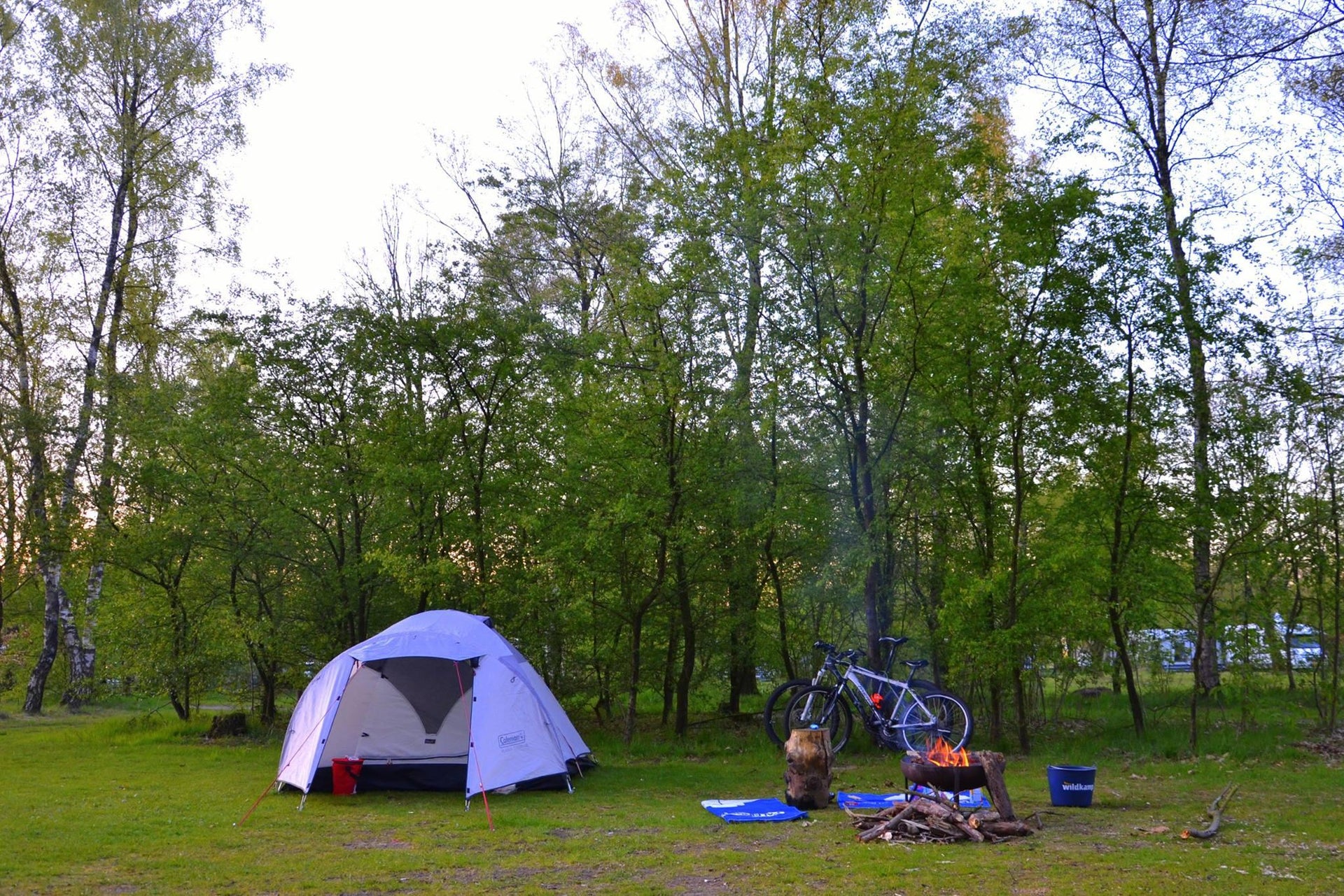 Ff dr tusseuut op de Veluwe