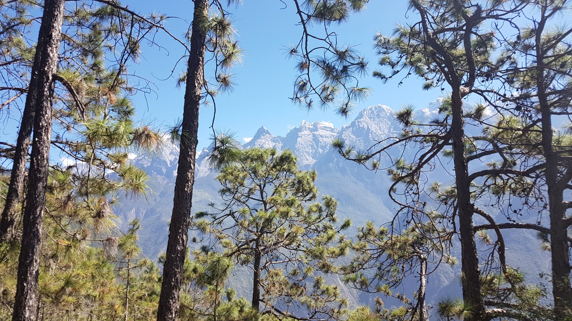 De Tiger Leaping Gorge