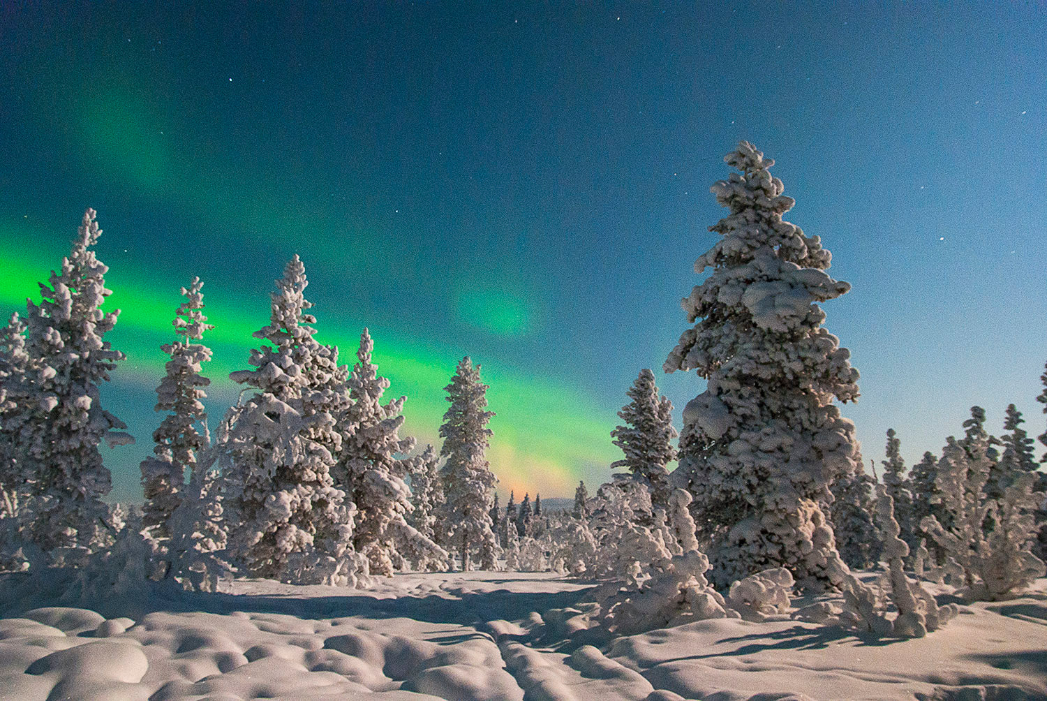 Gastblog | Outdoor fotografie: Op Zoek Naar Het “WAUW” Effect