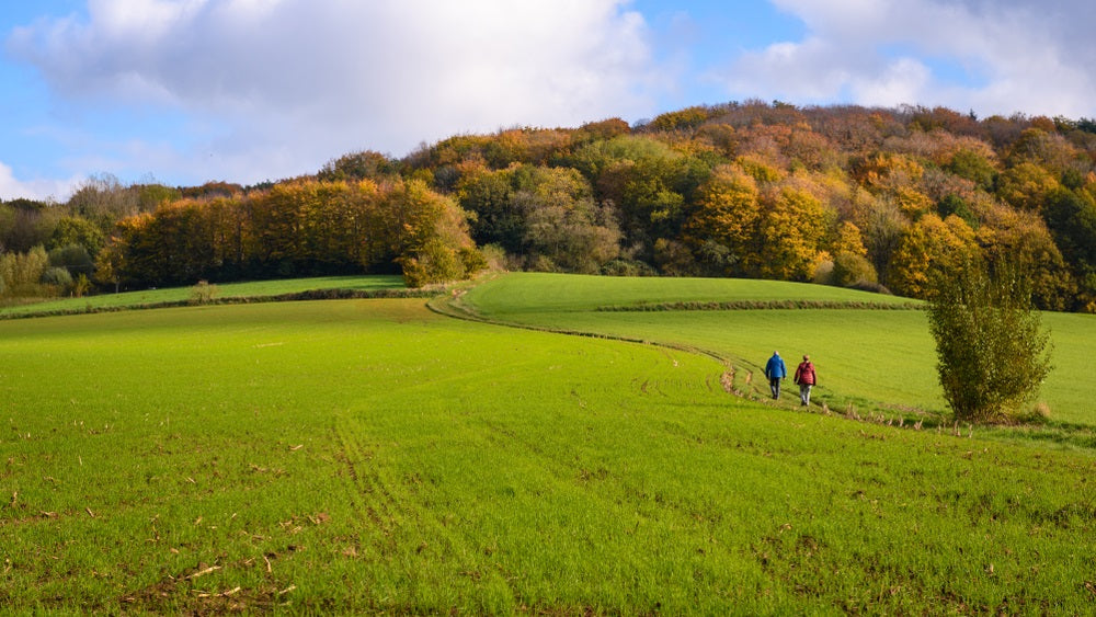 Tips voor de mooiste wandelvakantie in België