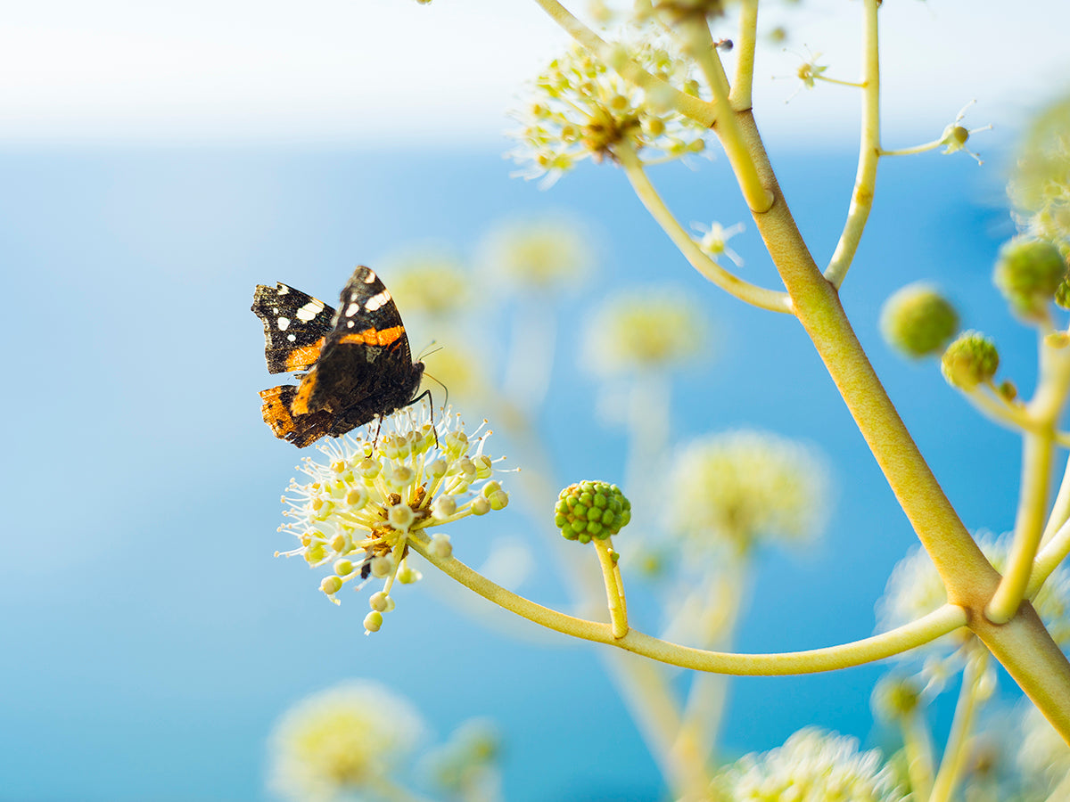 Gastblog| Outdoor Fotografie Deel III – De Geavanceerde Instellingen