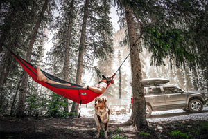 Relaxt De Wereld Over