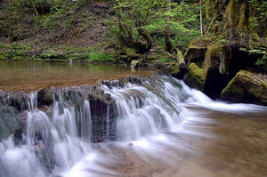 Top Trails 2018: feestelijke jubilea, wild kamperen en schaapjes tellen