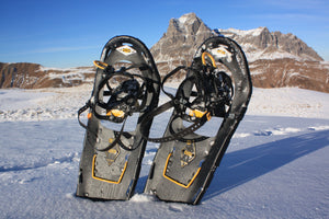 7 Sneeuwschoenwandel Gebieden Op Steenworp Afstand Van Nederland