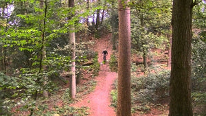 Herfsttip: 3 Geweldige MTB Tracks In Nationaal Park Drent Friese Wold