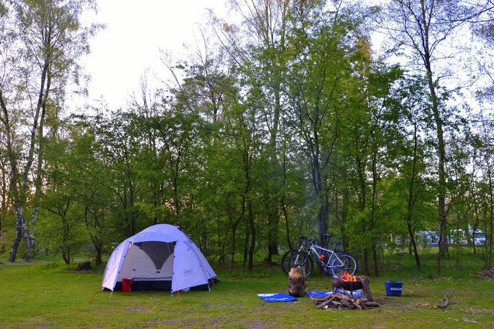 Ff dr tusseuut op de Veluwe