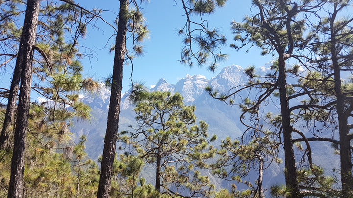 De Tiger Leaping Gorge