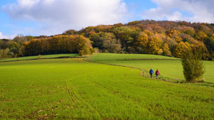 Tips voor de mooiste wandelvakantie in België