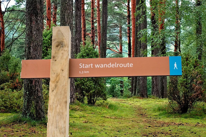 8 Manieren om jezelf te motiveren om te gaan wandelen 